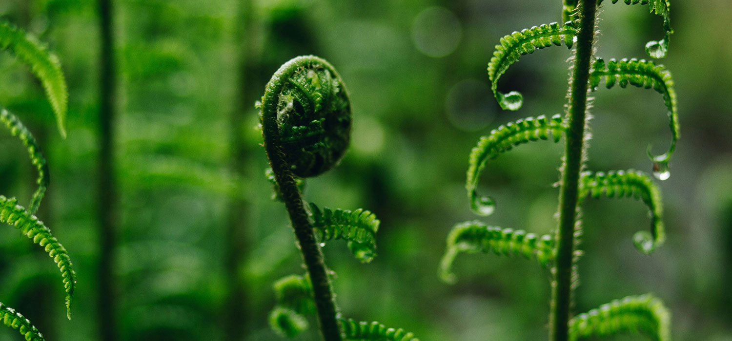 Geburtsprozess Zürich